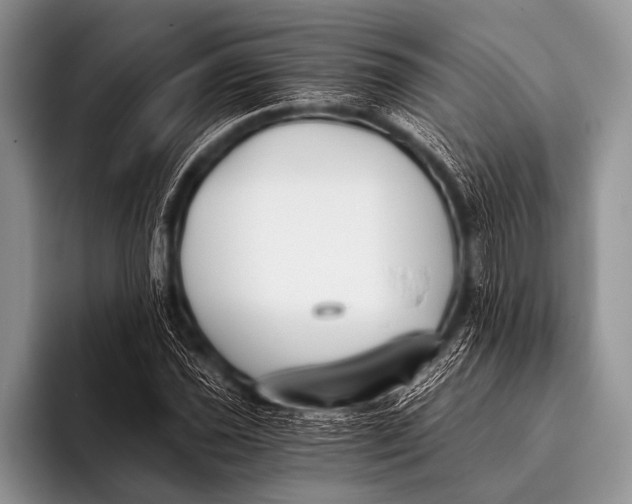 X0000096181021200802081455
