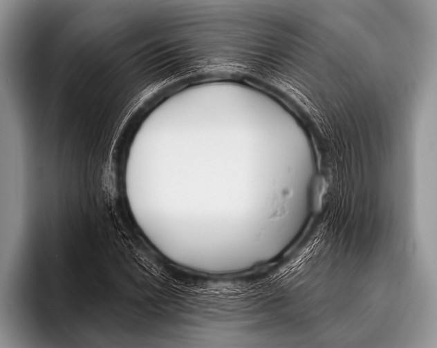 X0000096181022200802081455