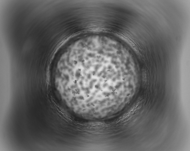 X0000096181023200802081455
