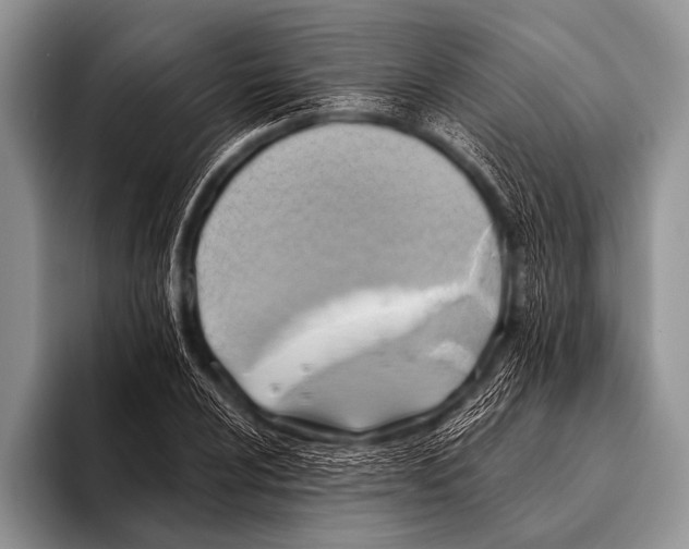 X0000096181024200802081455