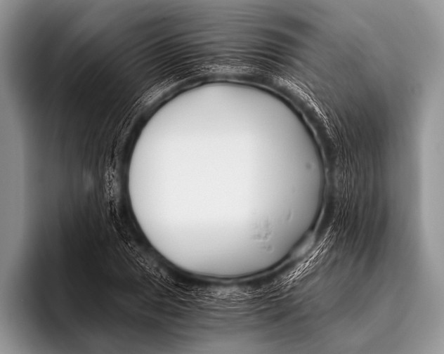 X0000096181025200802081455