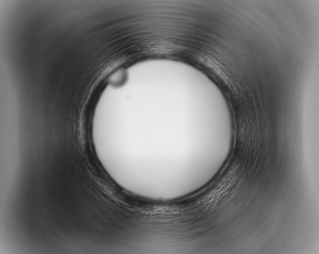 X0000096181026200802081455