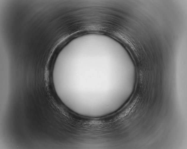 X0000096181029200802081455
