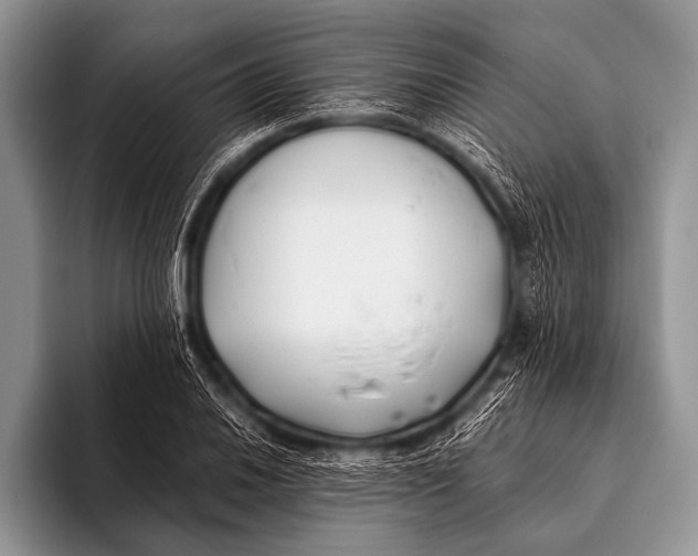 X0000096181030200802081455