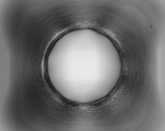 X0000096181032200802081455