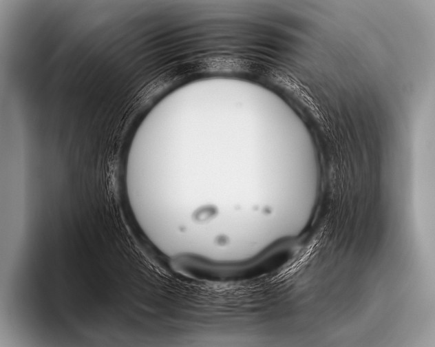 X0000096181033200802081455