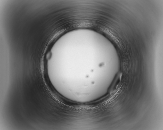 X0000096181034200802081455