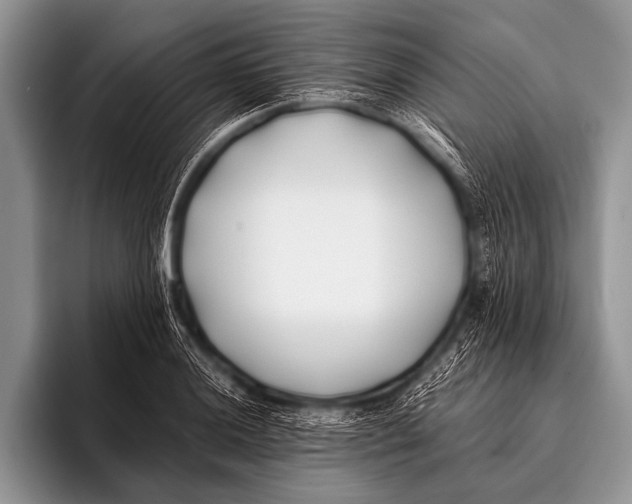 X0000096181036200802081455