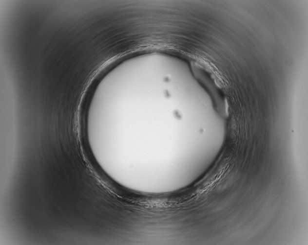 X0000096181038200802081455