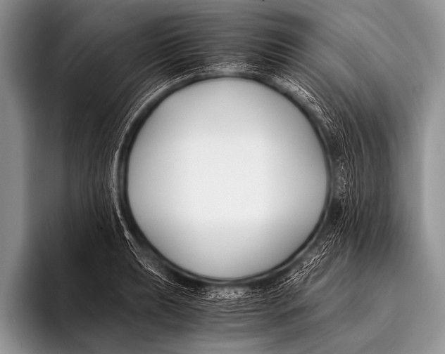 X0000096181039200802081455