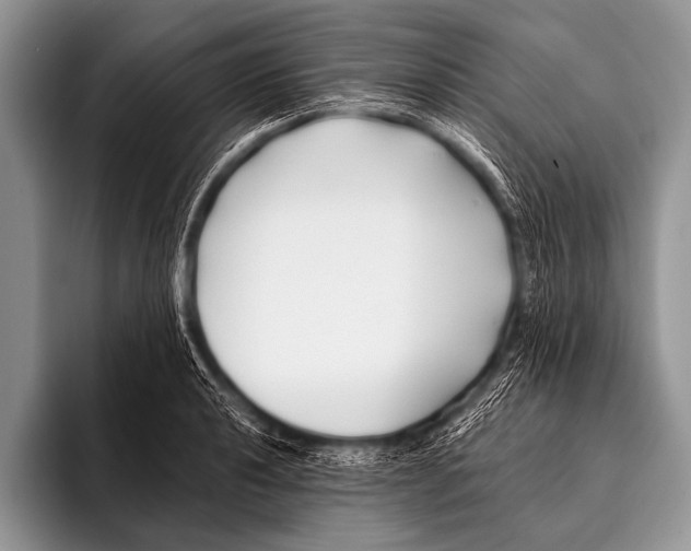 X0000096181040200802081455