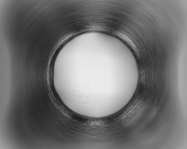 X0000096181043200802081455