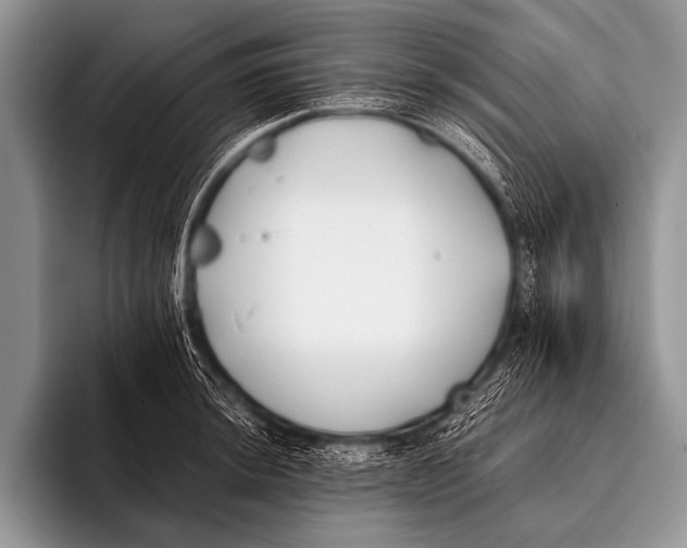 X0000096181044200802081455