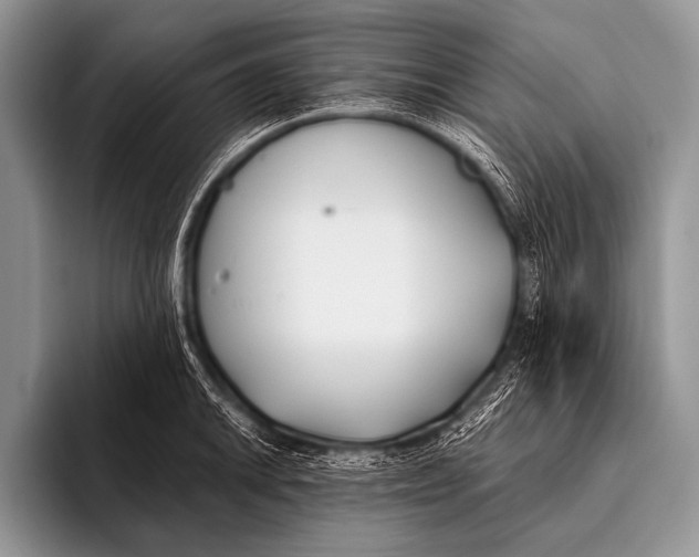 X0000096181046200802081455