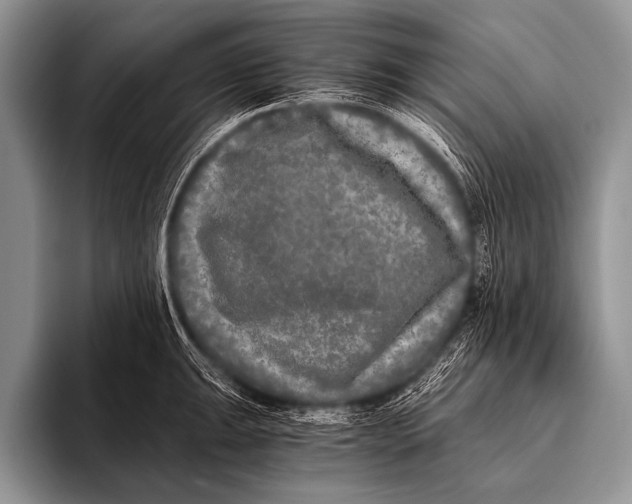 X0000096181047200802081455
