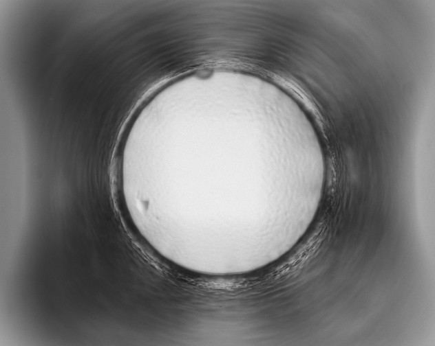 X0000096181048200802081455
