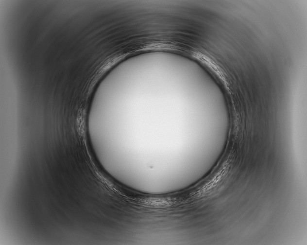 X0000096181049200802081455