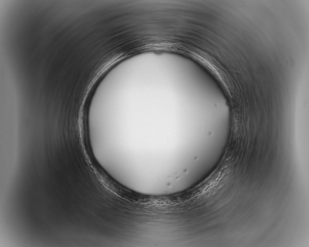 X0000096181050200802081455
