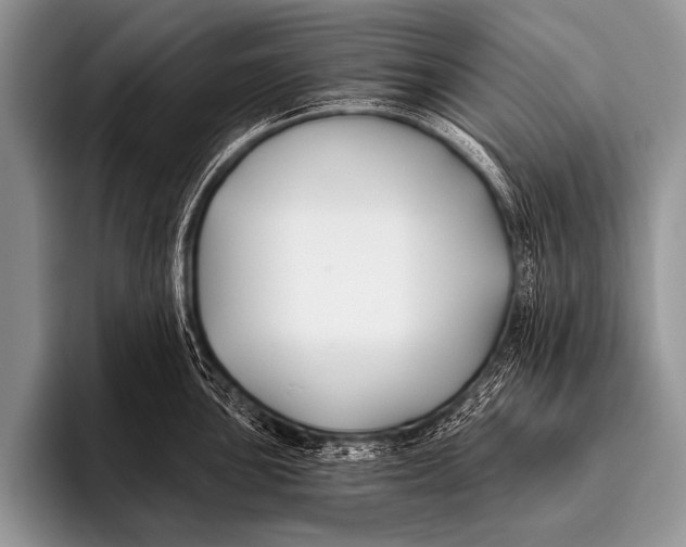 X0000096181051200802081455