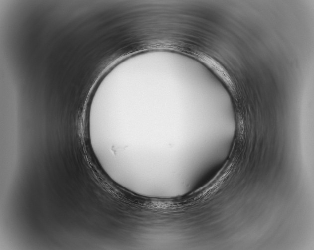 X0000096181052200802081455