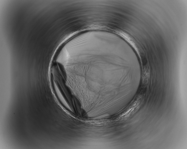 X0000096181053200802081455