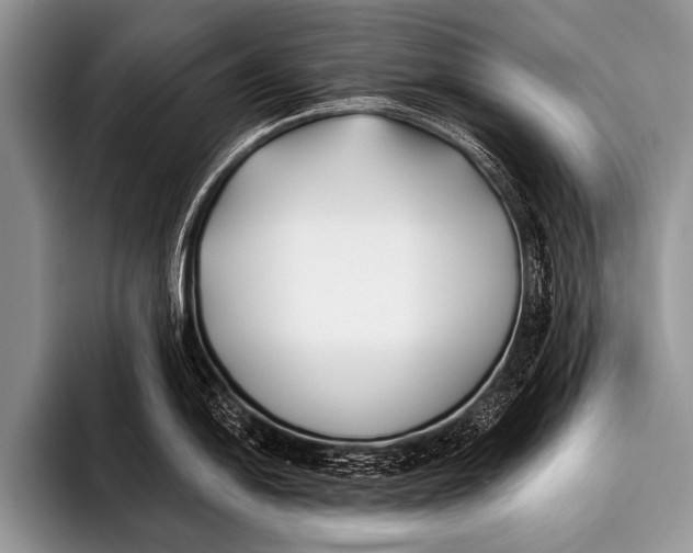X0000096181054200802081455
