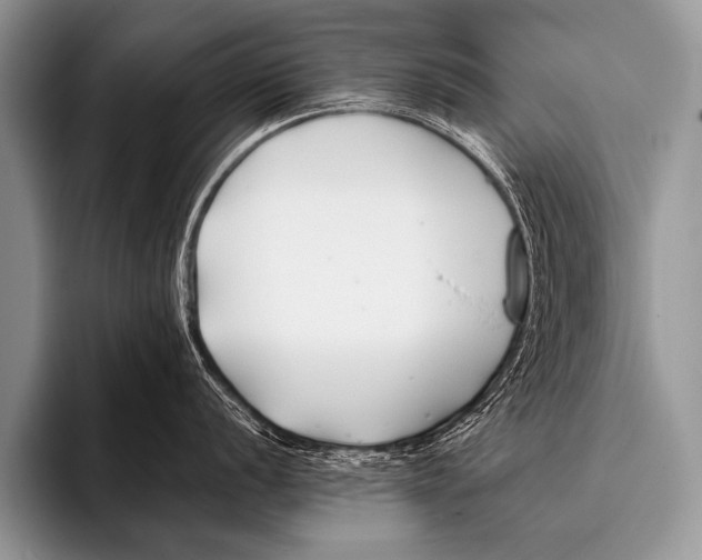 X0000096181056200802081455