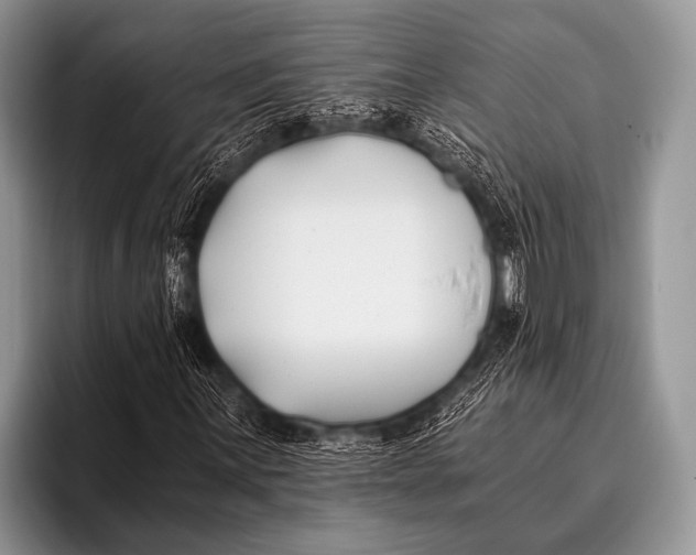 X0000096181059200802081455