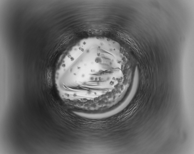 X0000096181060200802081455