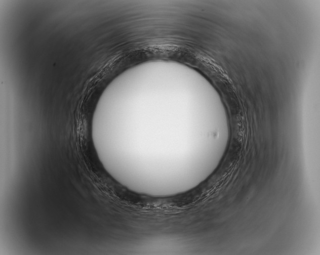X0000096181061200802081455