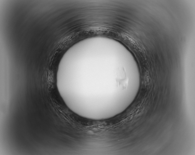 X0000096181062200802081455