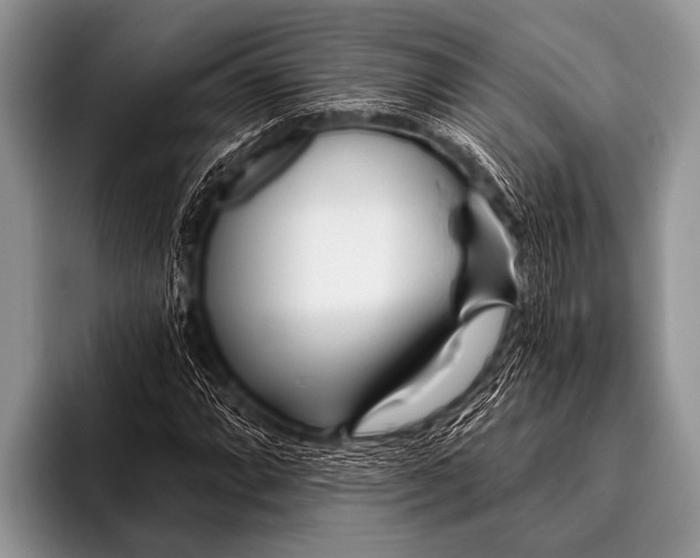 X0000096181064200802081455