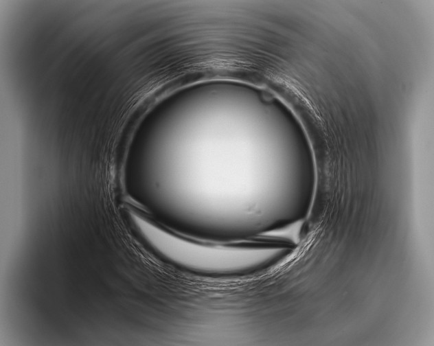 X0000096181065200802081455