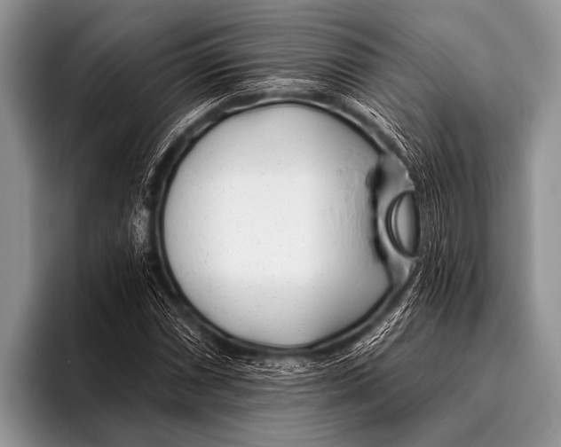 X0000096181066200802081455