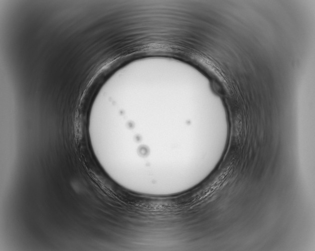 X0000096181067200802081455