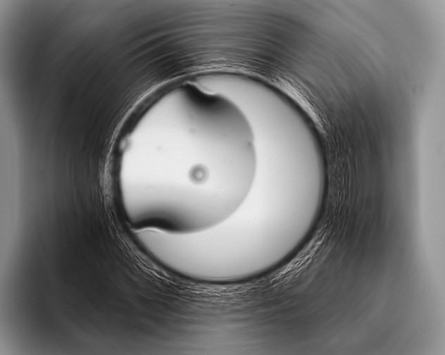 X0000096181068200802081455