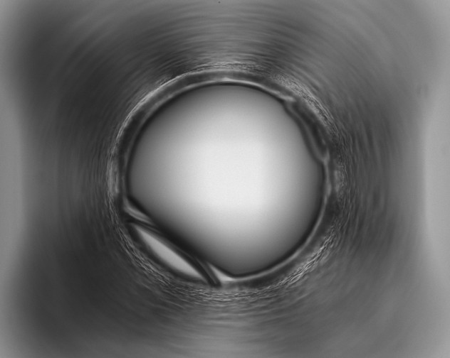 X0000096181069200802081455