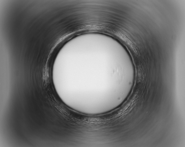 X0000096181070200802081455