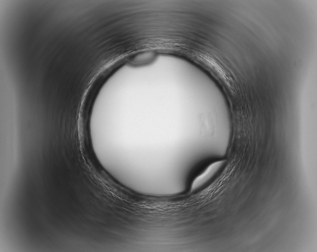 X0000096181072200802081455
