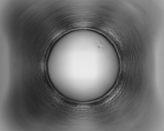 X0000096181073200802081455