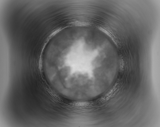 X0000096181074200802081455