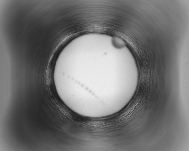 X0000096181075200802081455