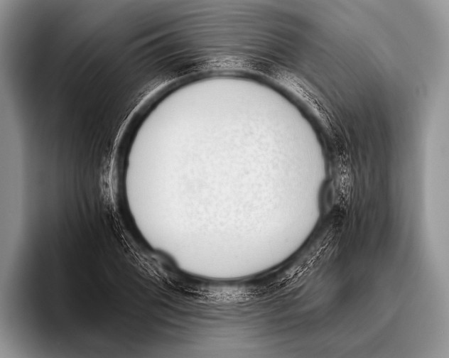 X0000096181076200802081455