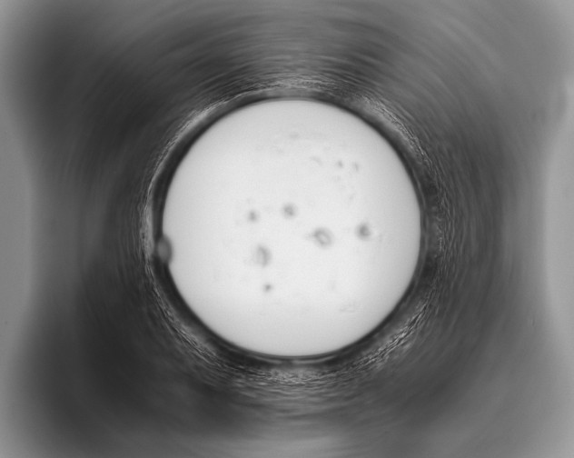 X0000096181079200802081455