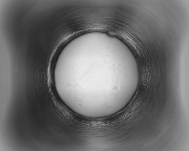 X0000096181080200802081455