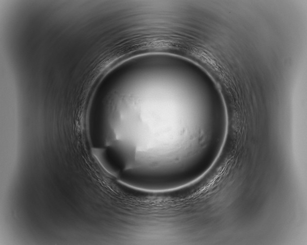 X0000096181081200802081455