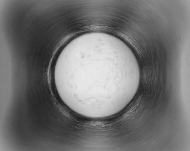 X0000096181082200802081455
