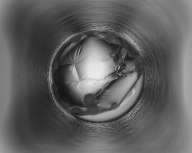 X0000096181084200802081455