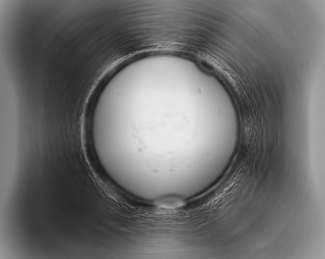 X0000096181085200802081454