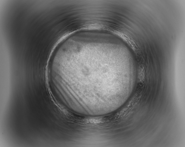 X0000096181086200802081454